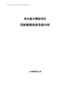 背光显示模组项目风险管理信息系统分析【范文】