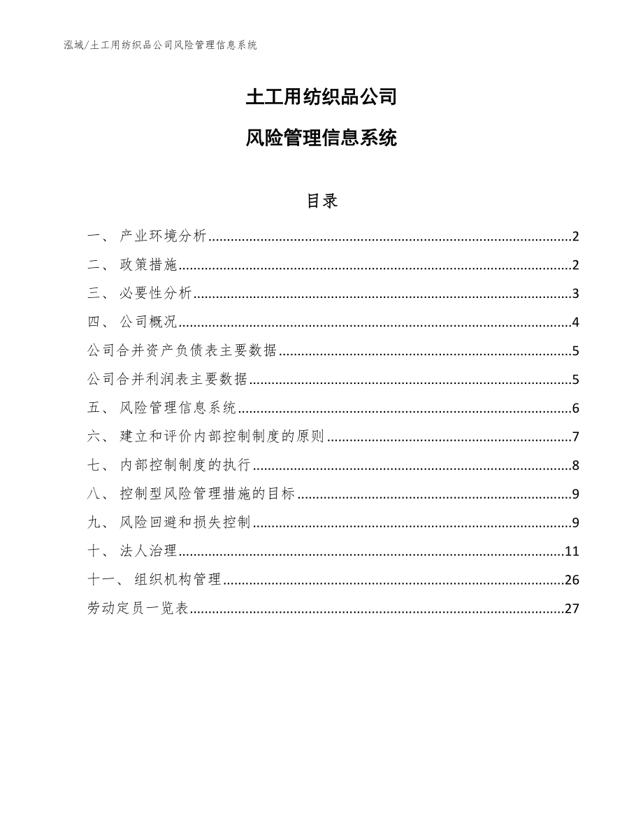 土工用纺织品公司风险管理信息系统_第1页