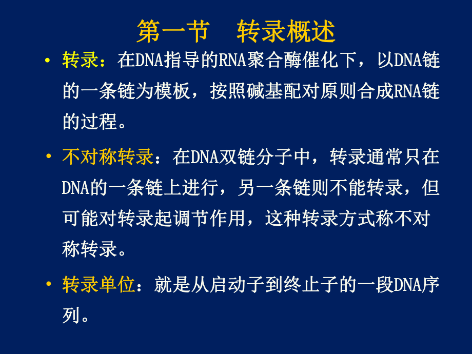 原核生物的转录及调控课件_第1页