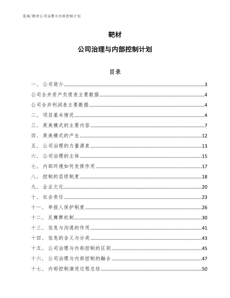 靶材公司治理与内部控制计划【范文】_第1页