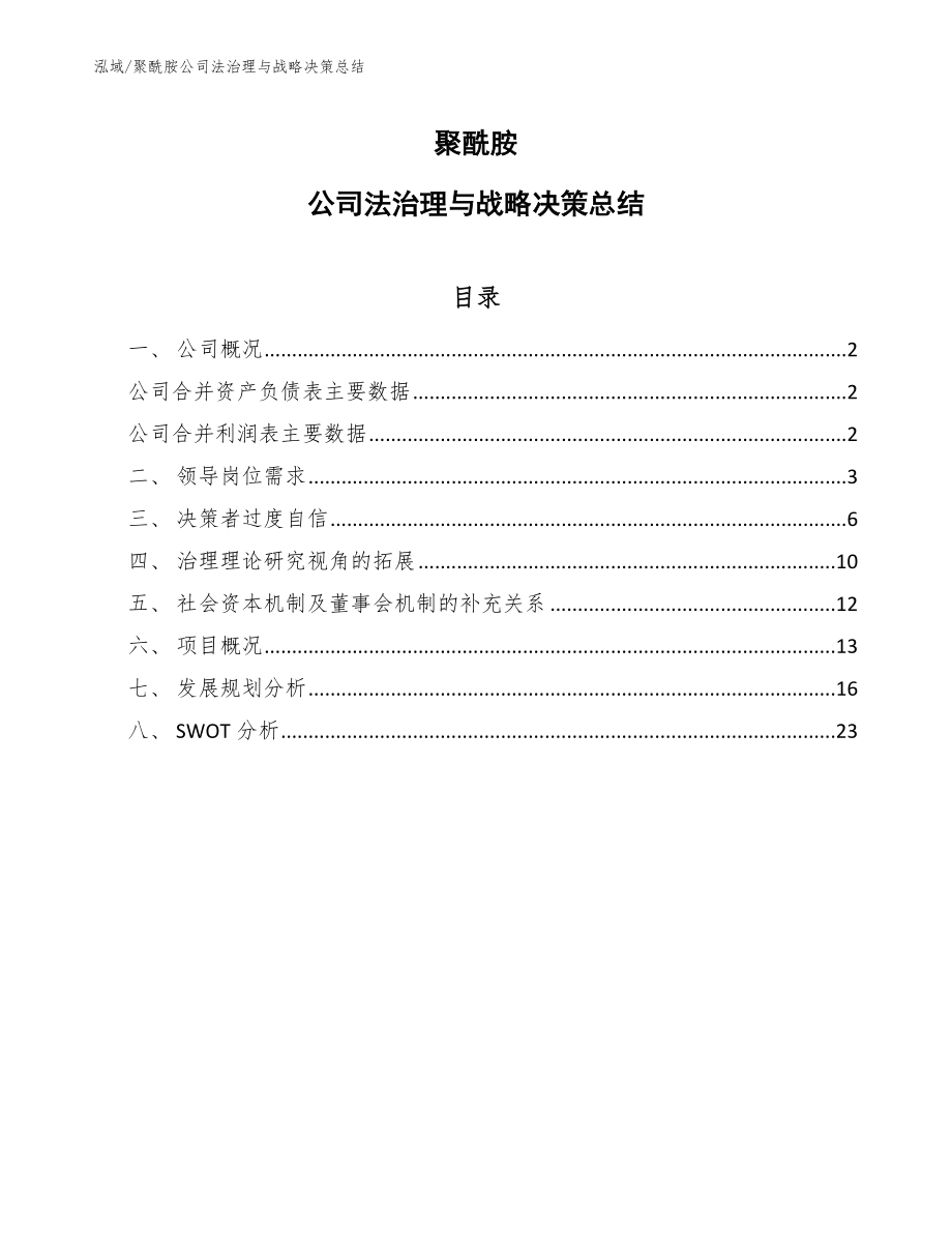 聚酰胺公司法治理与战略决策总结_范文_第1页