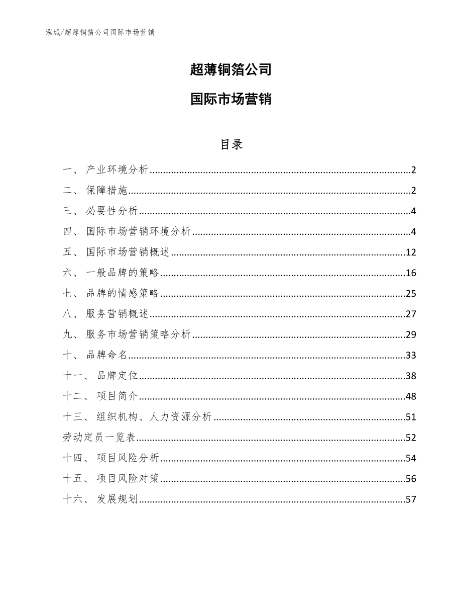 超薄铜箔公司国际市场营销_第1页