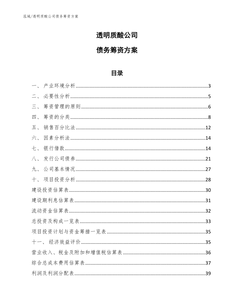 透明质酸公司债务筹资方案_第1页