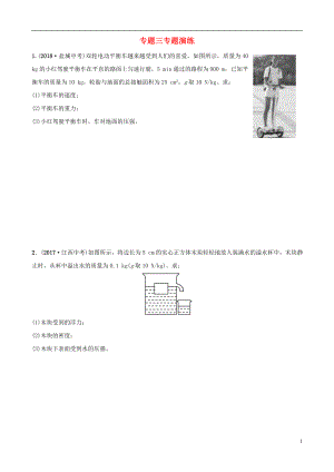 （東營(yíng)專版）2019年中考物理總復(fù)習(xí) 專題三專題演練