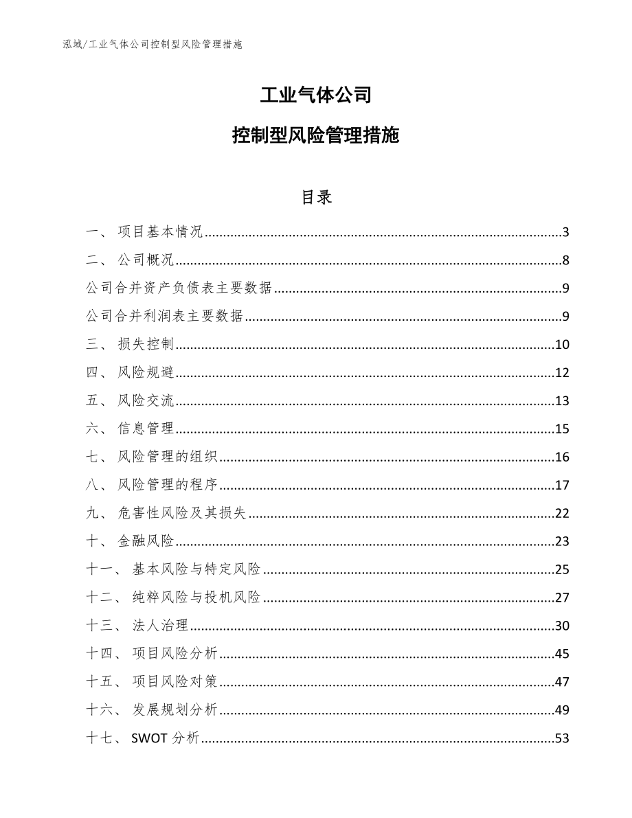 工业气体公司控制型风险管理措施（范文）_第1页