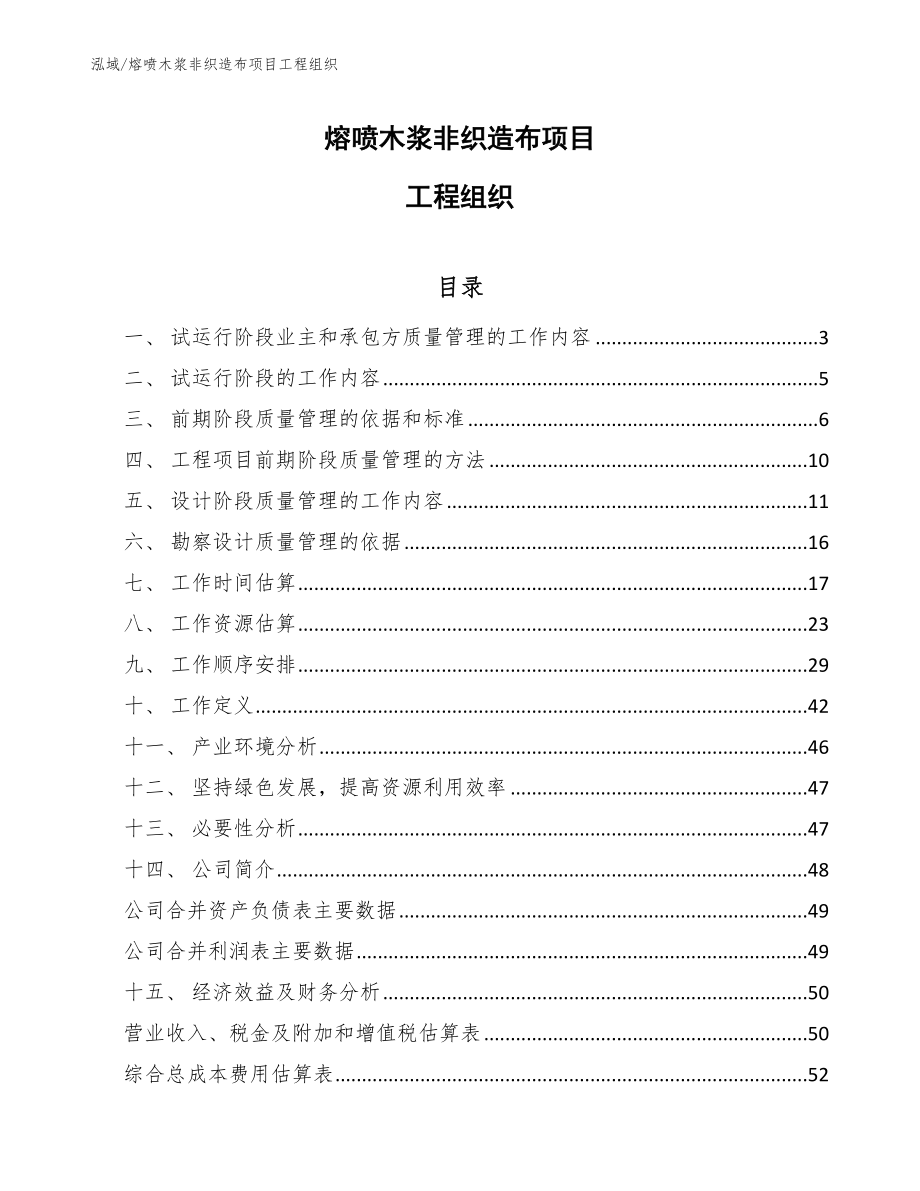 熔喷木浆非织造布项目工程组织（范文）_第1页