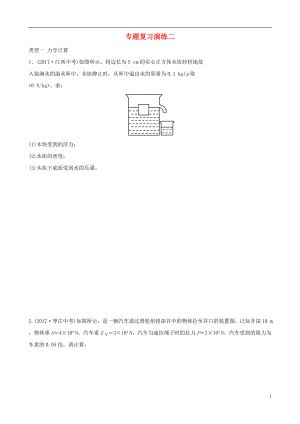 （淄博專版）2019屆中考物理 專題復(fù)習(xí)演練二