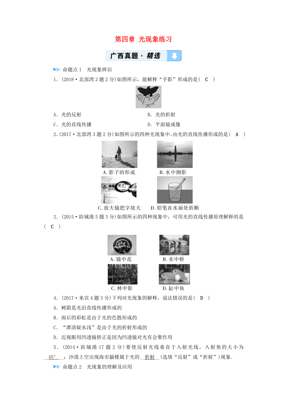 （廣西專用）2019中考物理一輪新優(yōu)化 第四章 光現(xiàn)象練習(xí)_第1頁