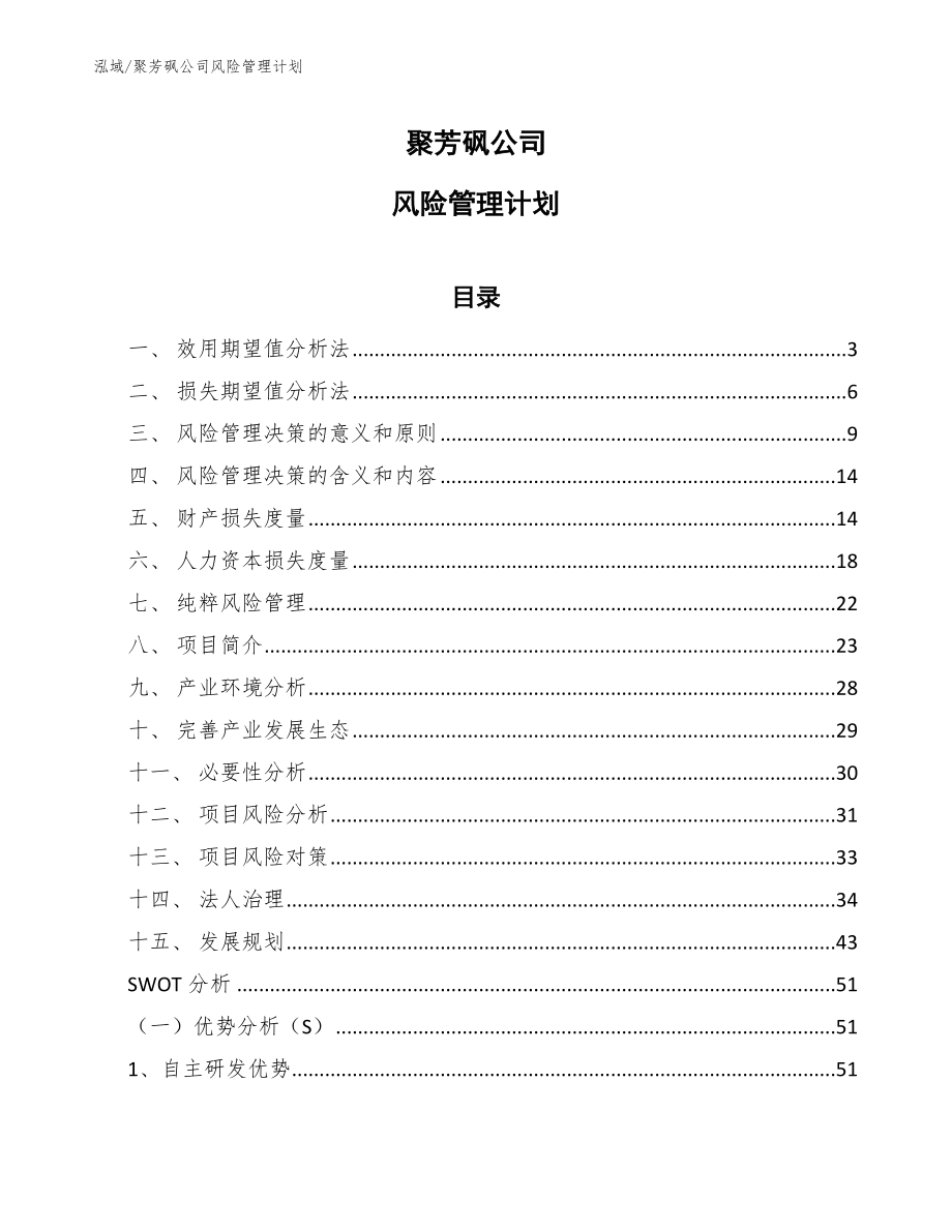 聚芳砜公司风险管理计划（参考）_第1页