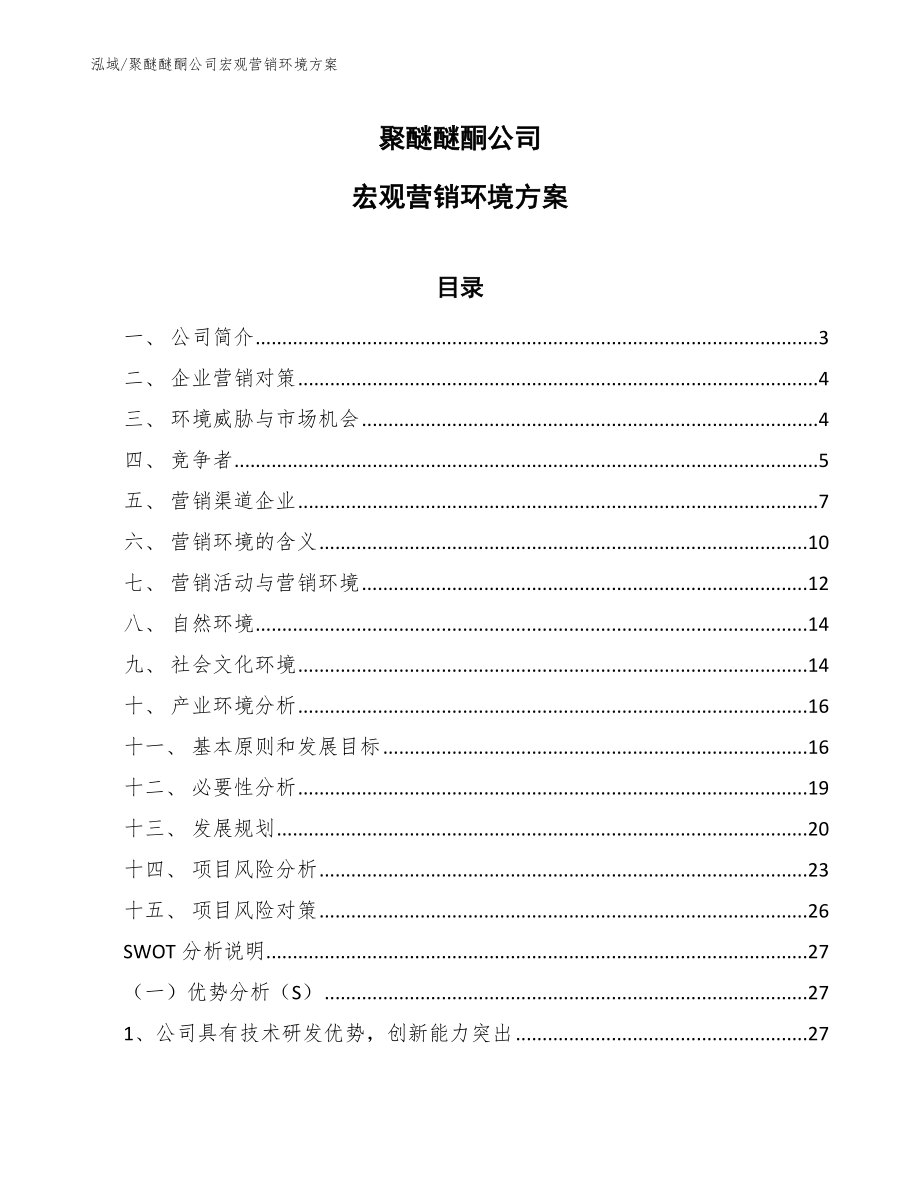 聚醚醚酮公司宏观营销环境方案_第1页