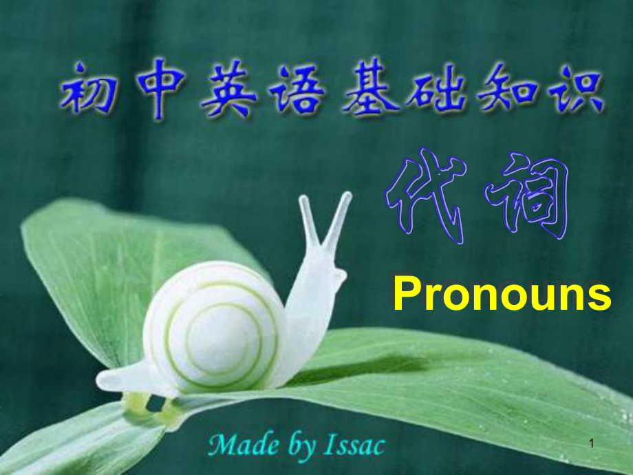 初中语法之代词的考点PPT精选课件_第1页