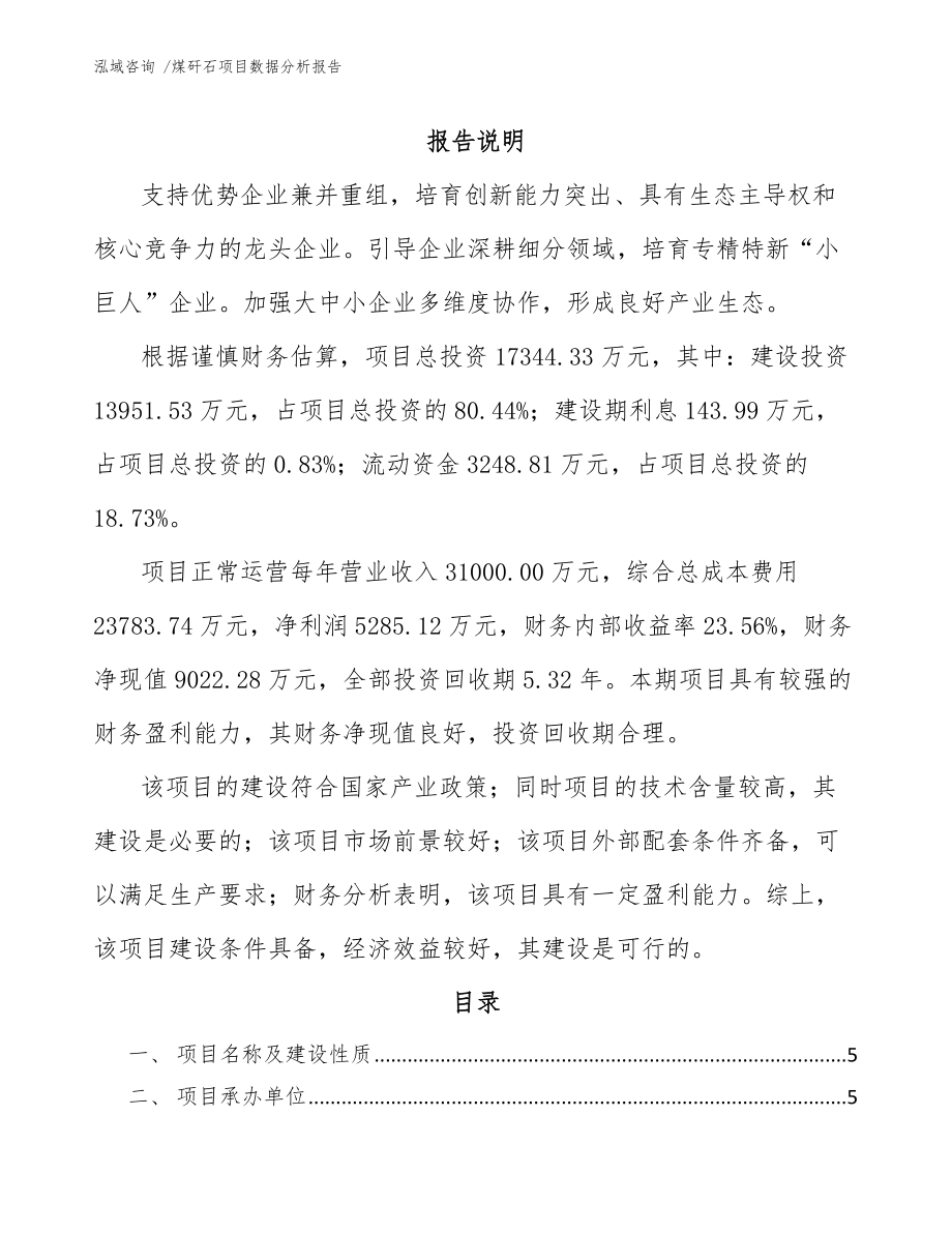 煤矸石项目数据分析报告-（参考范文）_第1页