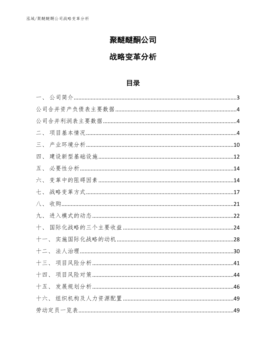 聚醚醚酮公司战略变革分析（参考）_第1页