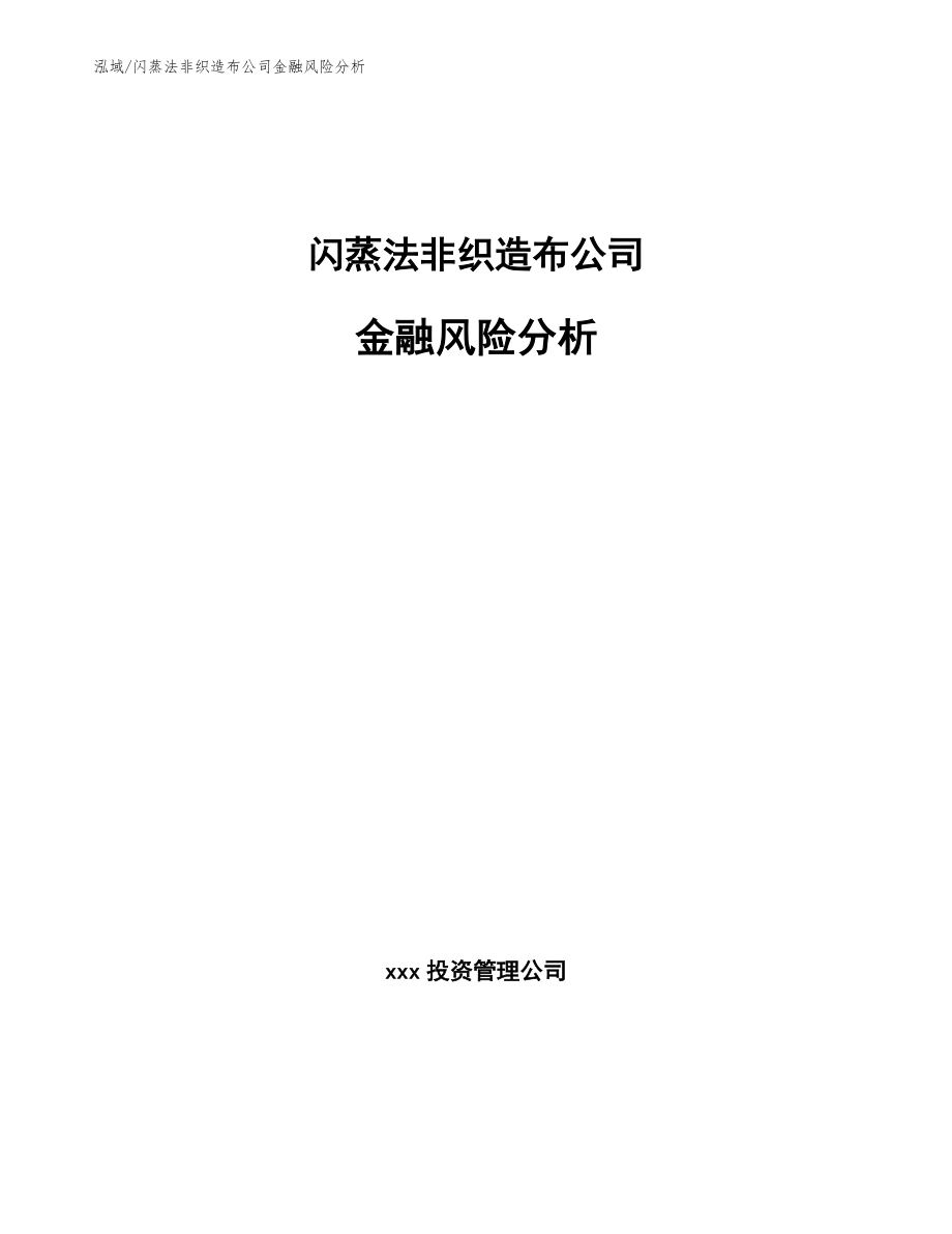 闪蒸法非织造布公司金融风险分析_范文_第1页