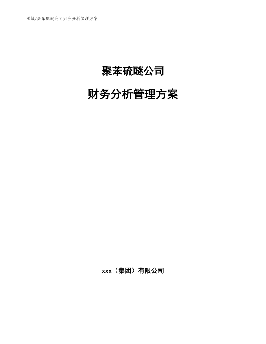 聚苯硫醚公司财务分析管理方案（参考）_第1页