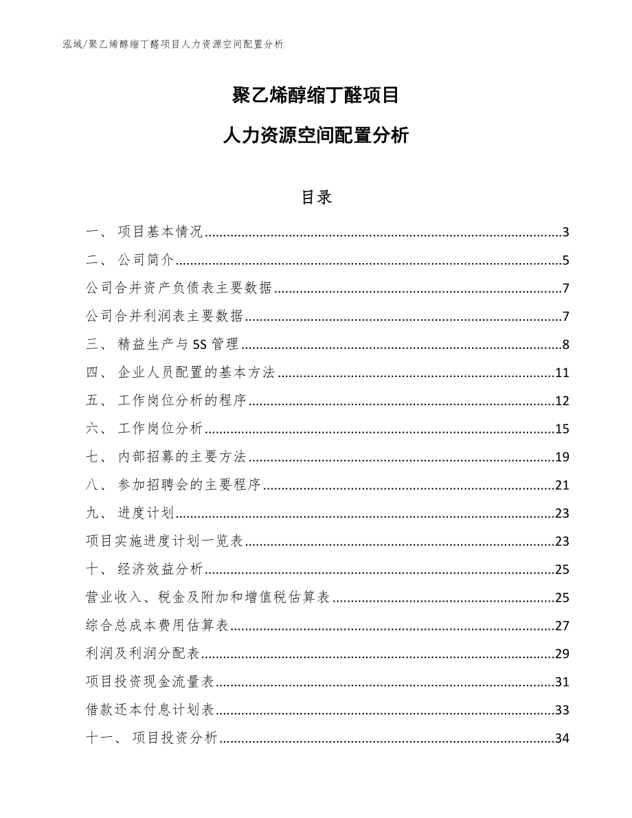 聚乙烯醇缩丁醛项目人力资源空间配置分析（参考）_第1页