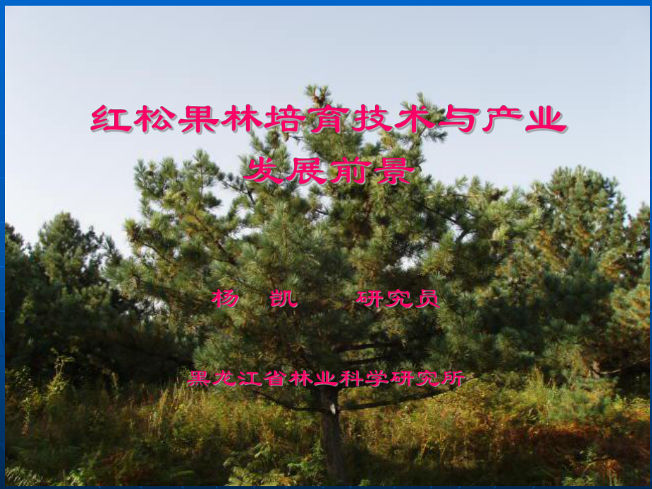 红松果林培育技术与产业发展前景_第1页