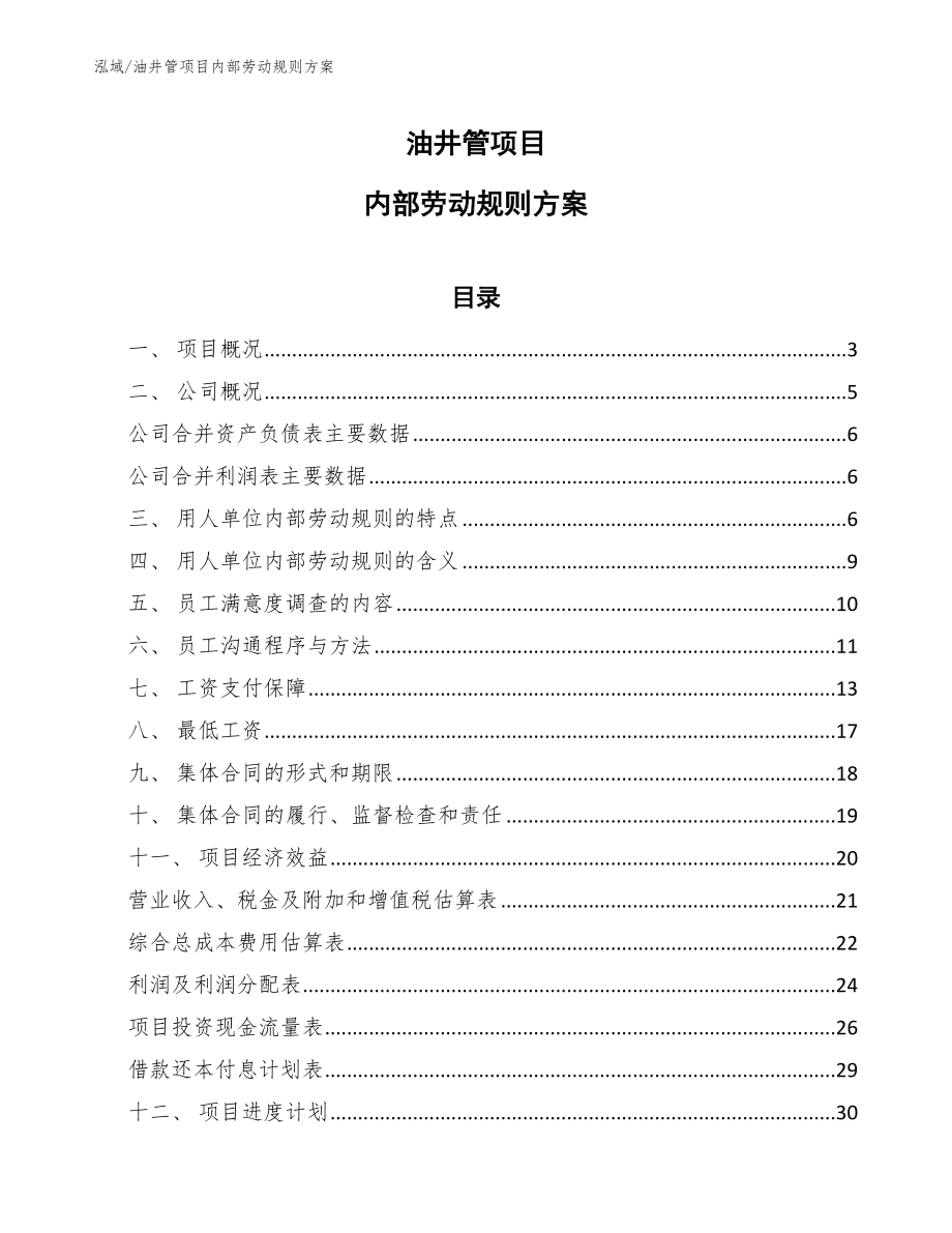 油井管项目内部劳动规则方案（范文）_第1页