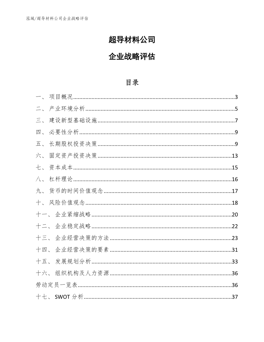 超导材料公司企业战略评估（参考）_第1页