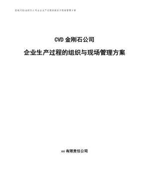 CVD金刚石公司企业生产过程的组织与现场管理方案