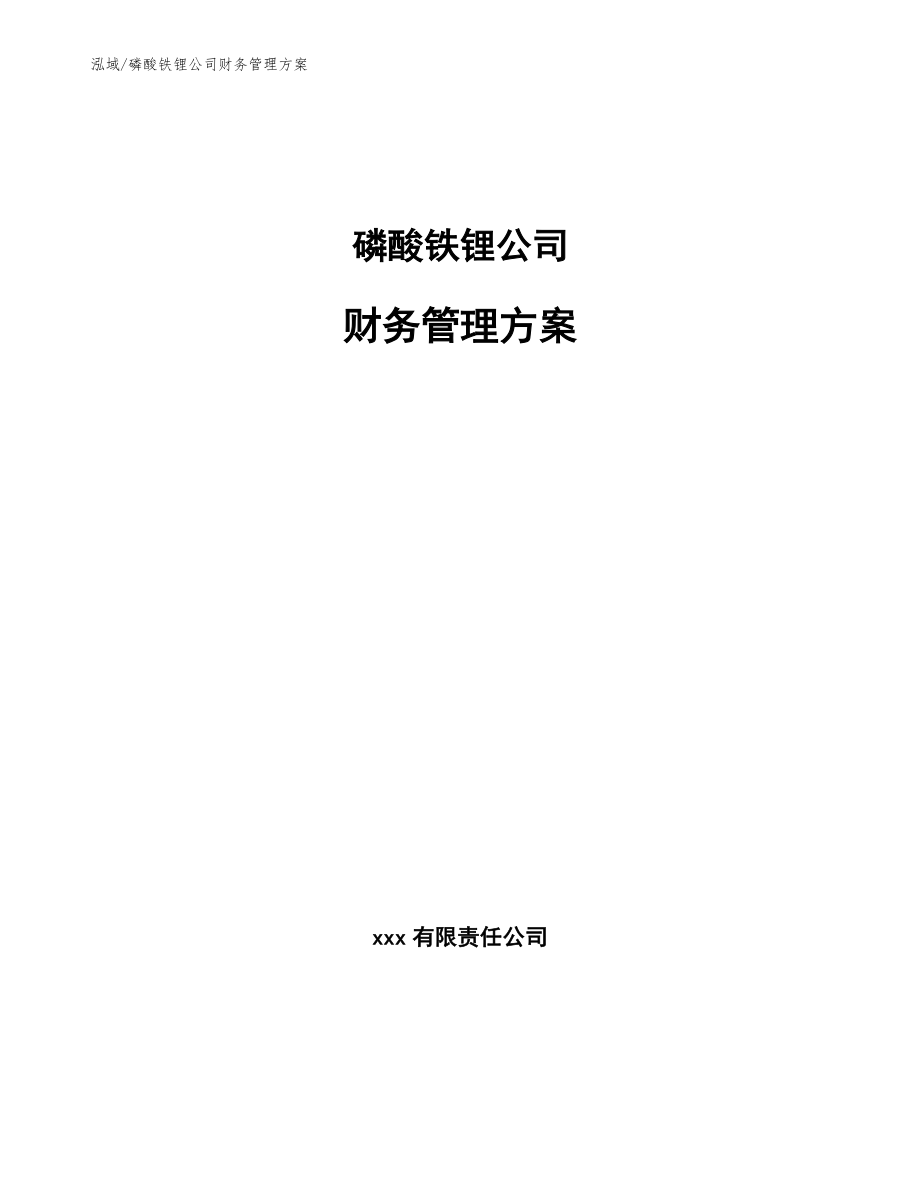 磷酸铁锂公司财务管理方案（参考）_第1页