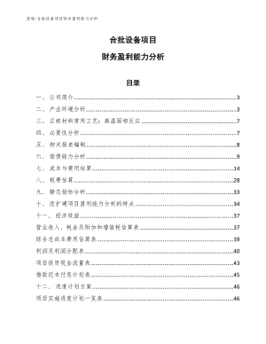 合批设备项目财务盈利能力分析