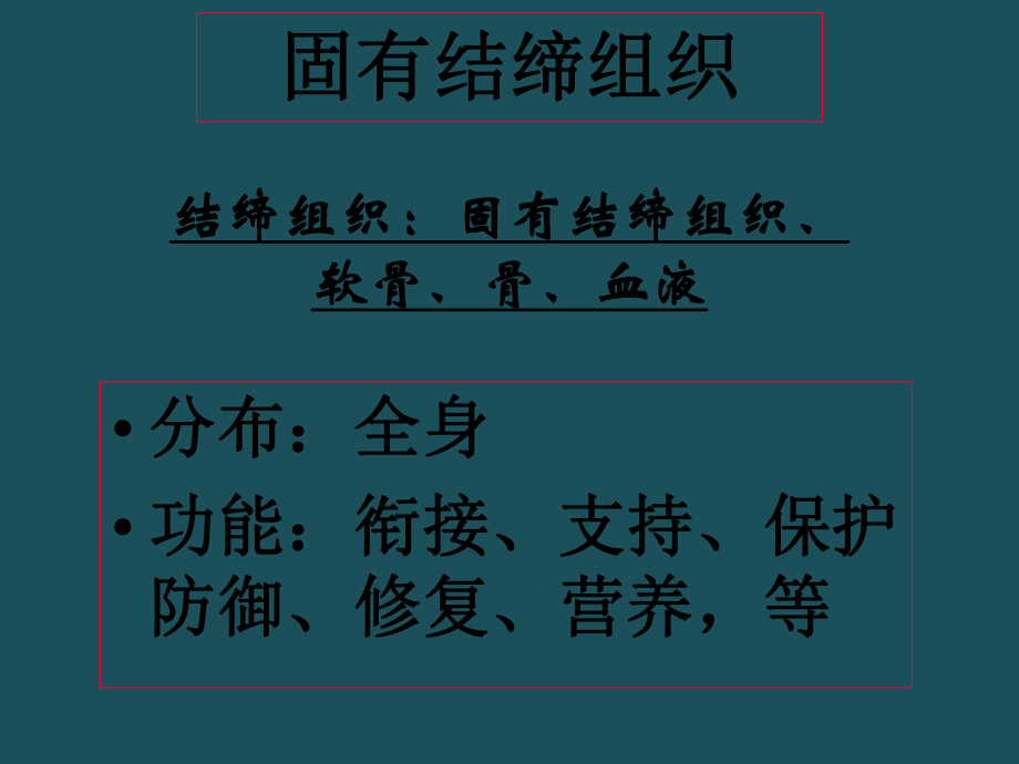 5固有结缔组织11ppt课件_第1页