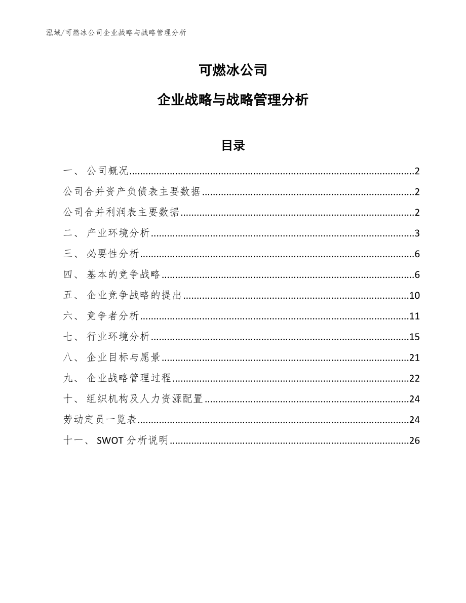 可燃冰公司企业战略与战略管理分析_第1页