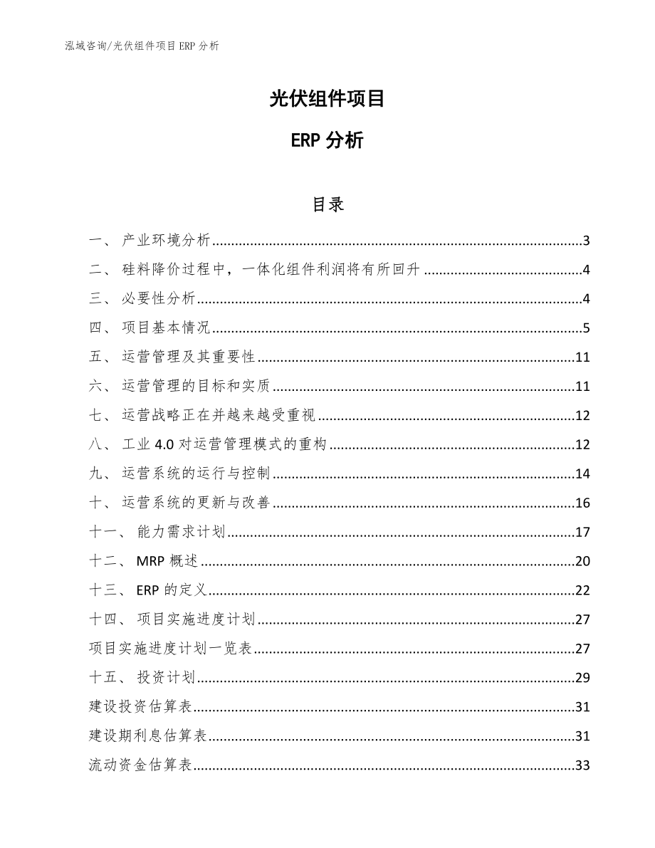 光伏组件项目ERP分析_第1页