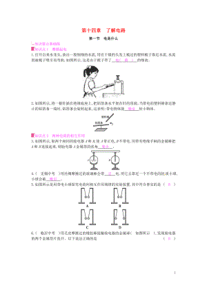 2019年秋九年級(jí)物理全冊 第十四章 了解電路 第一節(jié) 電是什么課時(shí)作業(yè) （新版）滬科版