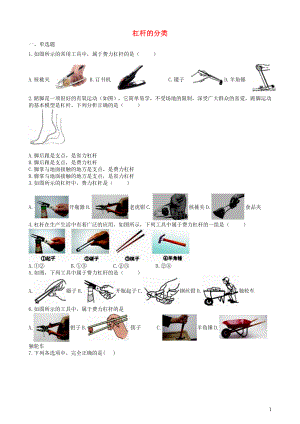 2019中考物理 知識點(diǎn)全突破系列 專題51 杠桿的分類