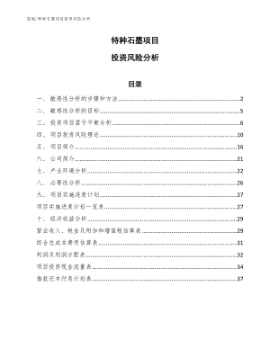 特种石墨项目投资风险分析（参考）