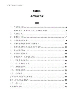 黄磷项目工程咨询手册（范文）