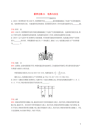 （課標(biāo)通用）安徽省2019年中考物理總復(fù)習(xí) 素養(yǎng)全練21 電熱與安全試題