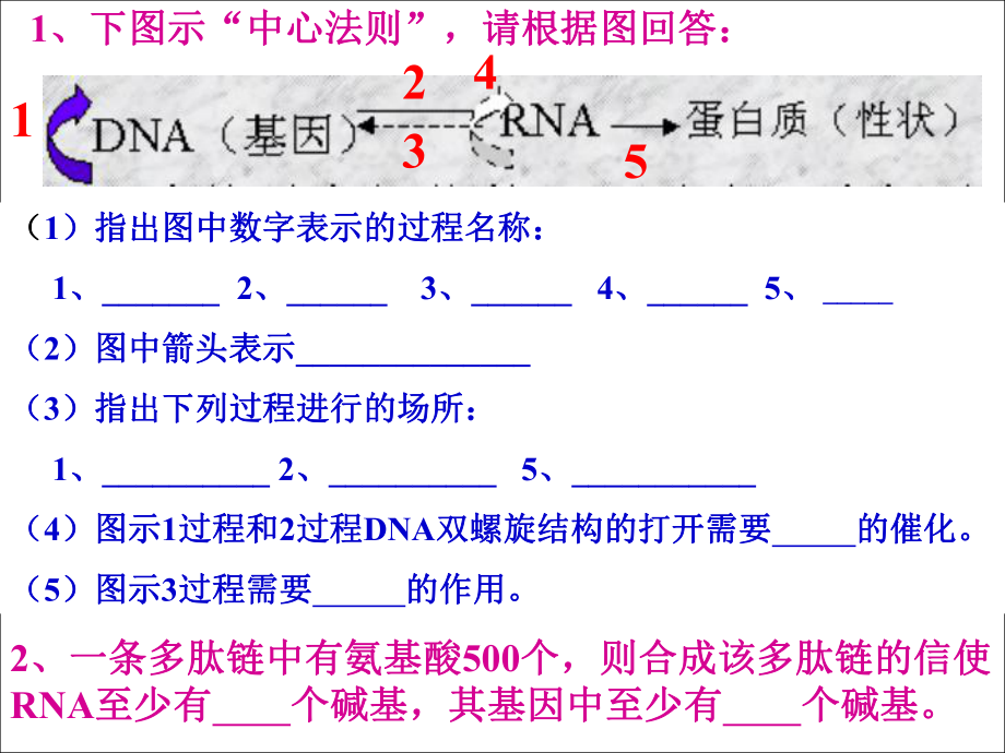人教版教学基因突变与基因重组课件_第1页