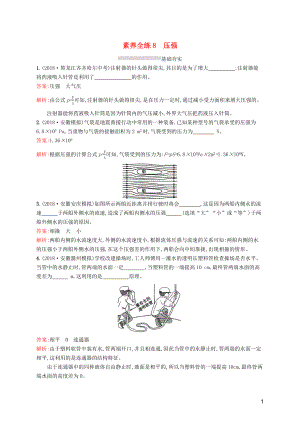 （課標通用）安徽省2019年中考物理總復習 素養(yǎng)全練8 壓強試題