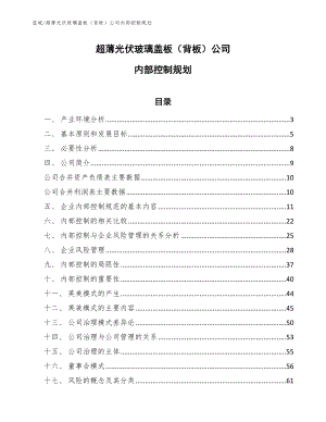 超薄光伏玻璃盖板（背板）公司内部控制规划