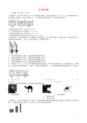 2019中考物理 知識(shí)點(diǎn)全突破系列 專題11 壓力和壓強(qiáng)（含解析）