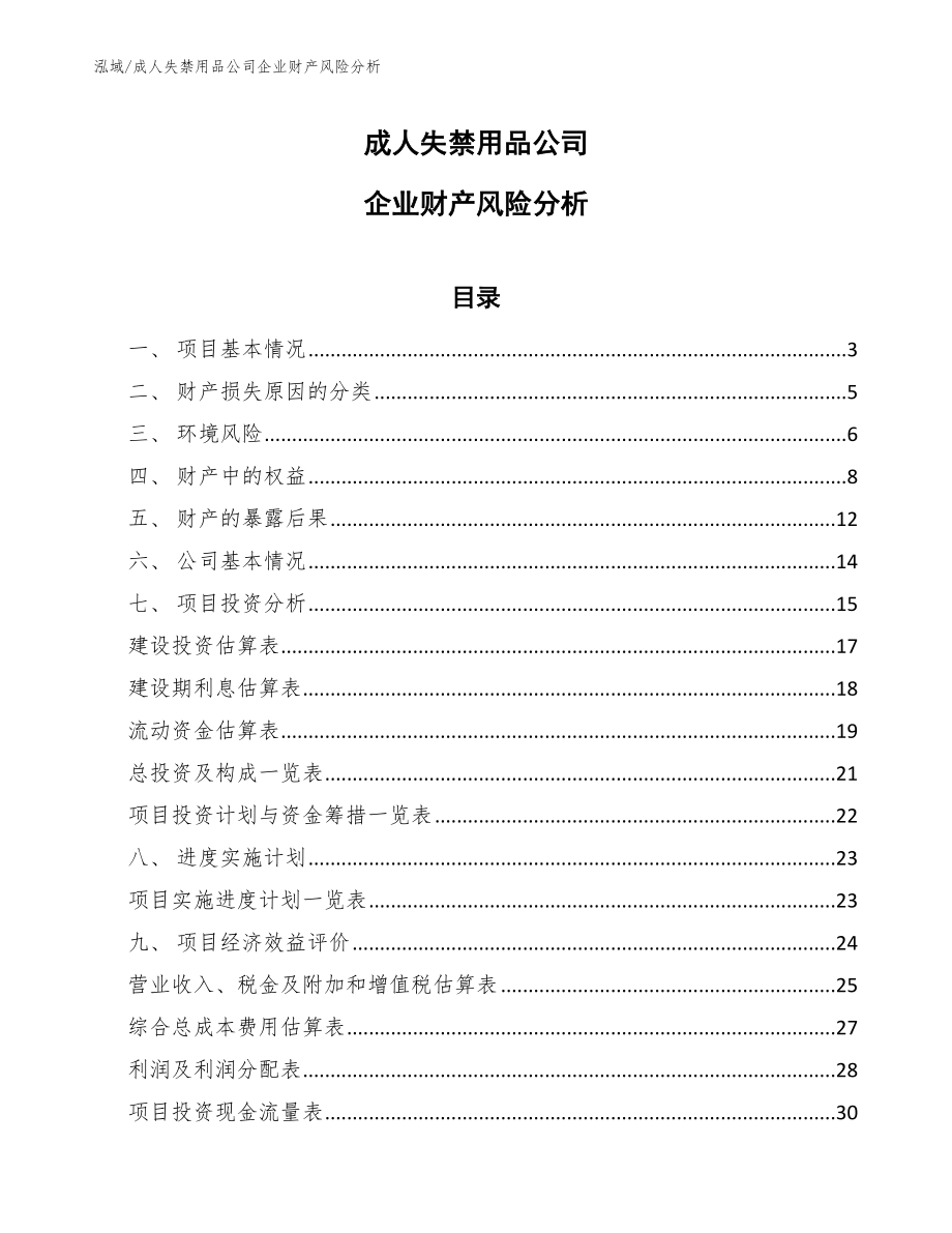 成人失禁用品公司企业财产风险分析_第1页