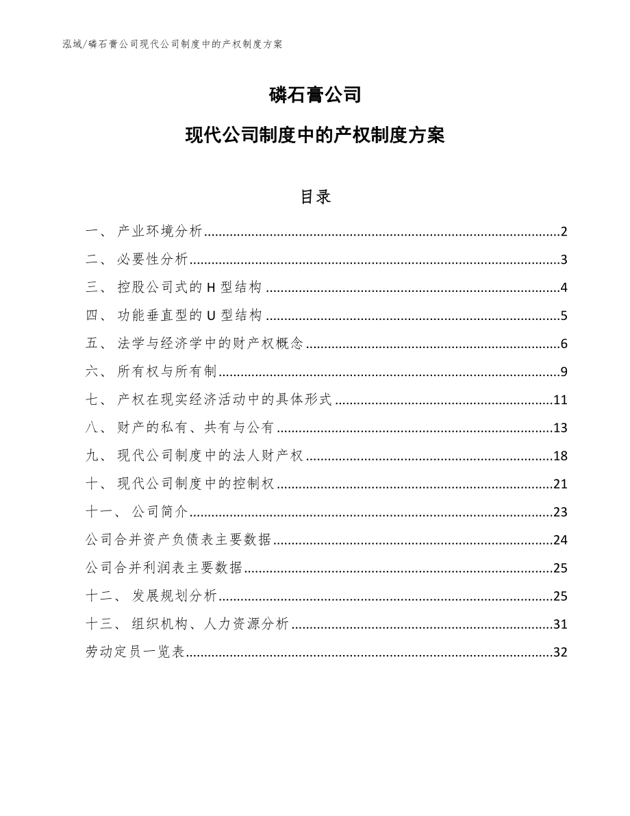 磷石膏公司现代公司制度中的产权制度方案（参考）_第1页