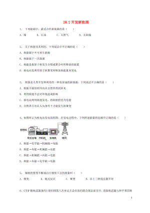 2018-2019學年九年級物理下冊 第二十章 能源與能量守恒定律 20.2 開發(fā)新能源作業(yè)設(shè)計 （新版）粵教滬版