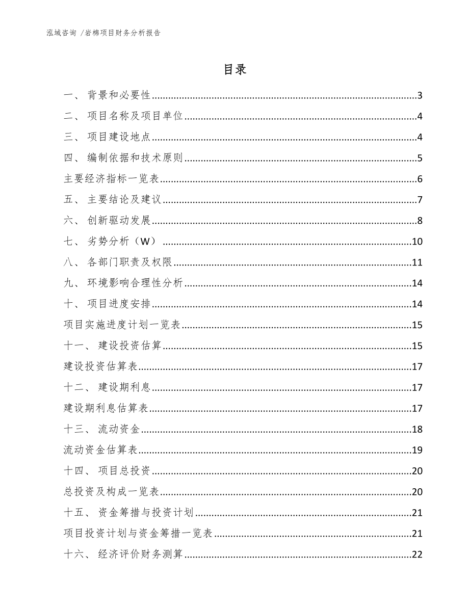 岩棉项目财务分析报告_参考范文_第1页