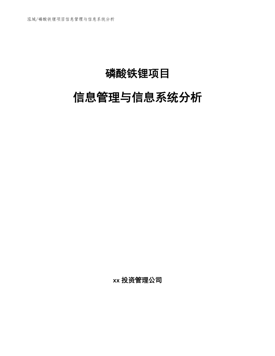 磷酸铁锂项目信息管理与信息系统分析（范文）_第1页