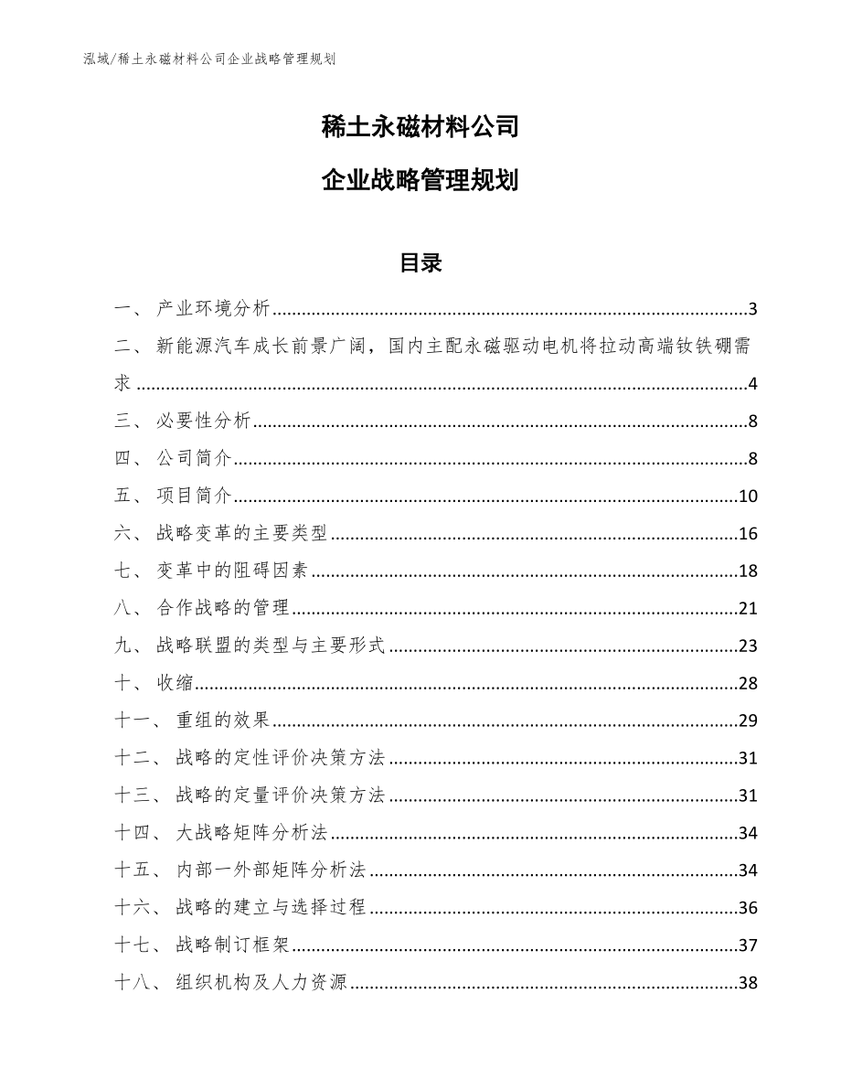 稀土永磁材料公司企业战略管理规划_第1页