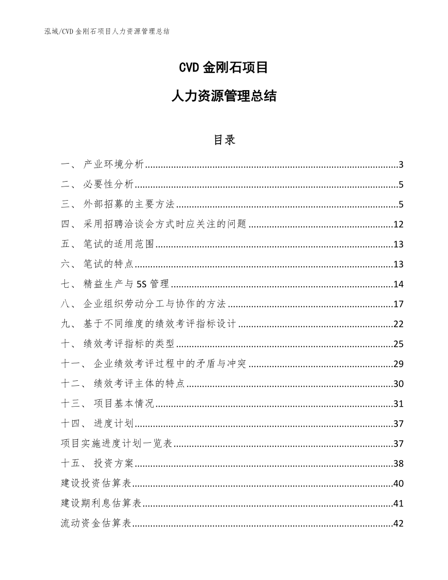 CVD金刚石项目人力资源管理总结（参考）_第1页