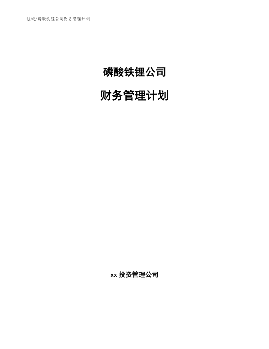 磷酸铁锂公司财务管理计划（范文）_第1页
