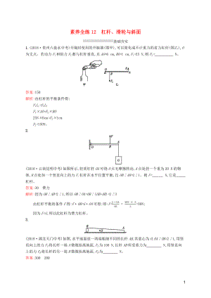 （課標(biāo)通用）安徽省2019年中考物理總復(fù)習(xí) 素養(yǎng)全練12 杠桿、滑輪與斜面試題