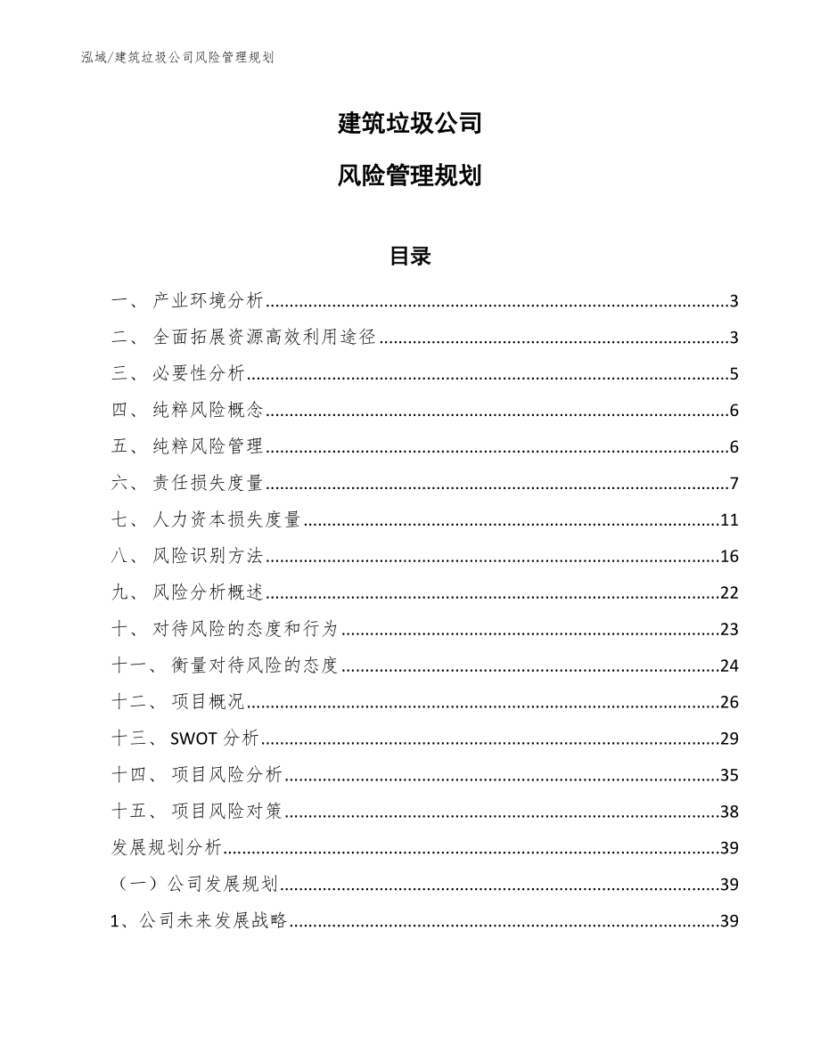 建筑垃圾公司风险管理规划（参考）_第1页