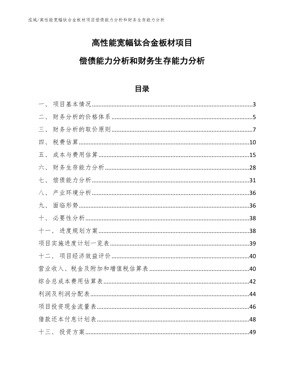 高性能宽幅钛合金板材项目偿债能力分析和财务生存能力分析（范文）_第1页