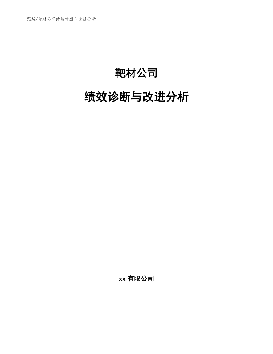 靶材公司绩效诊断与改进分析（参考）_第1页